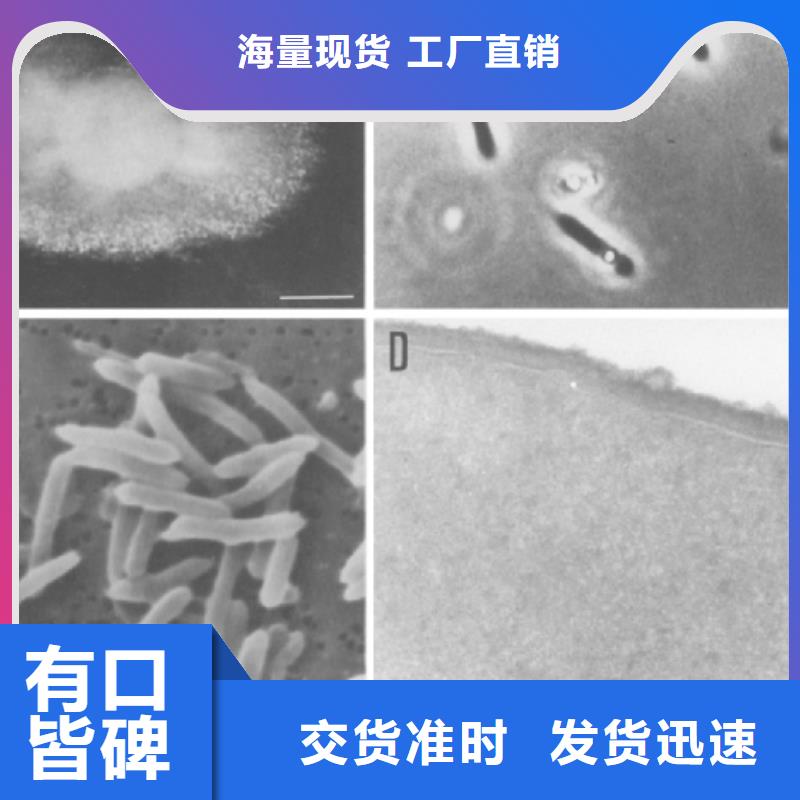 碳源销售适用范围广