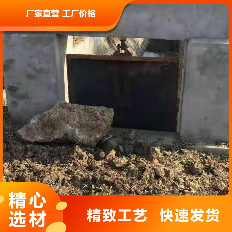 复合闸门免费指导安装当地公司