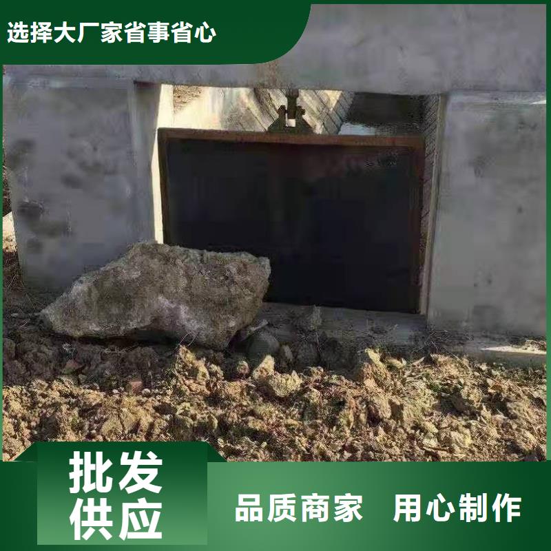 琼中县水电站铸铁闸门规格齐全无中间商厂家直销