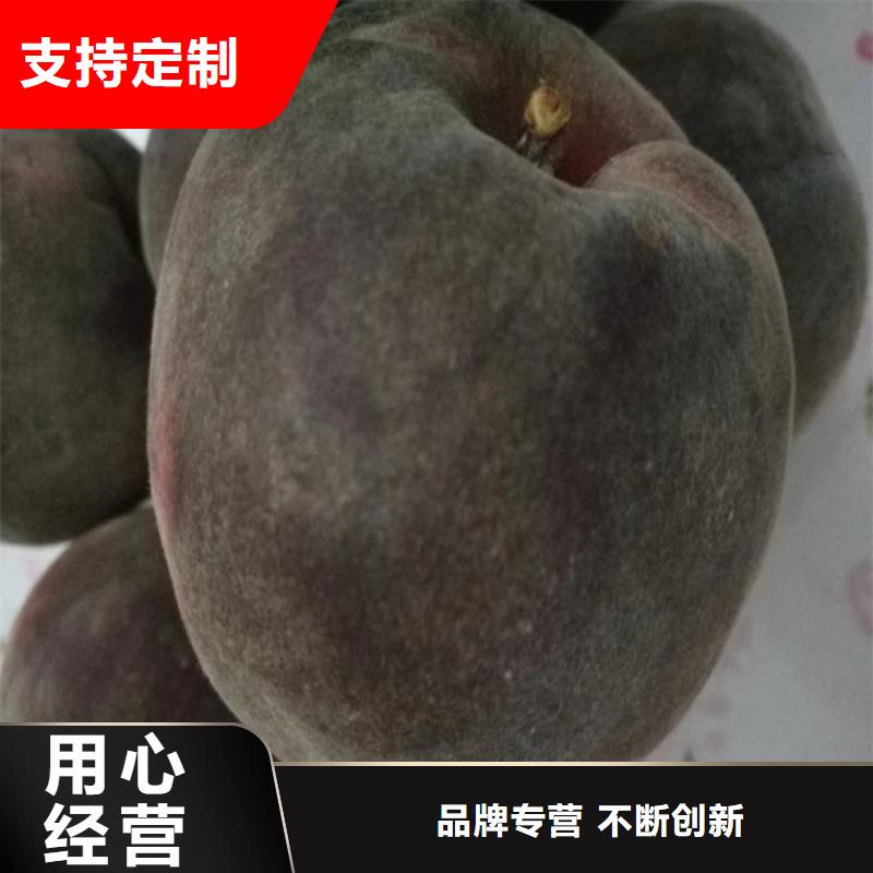 桃【草莓苗】颜色尺寸款式定制工厂价格