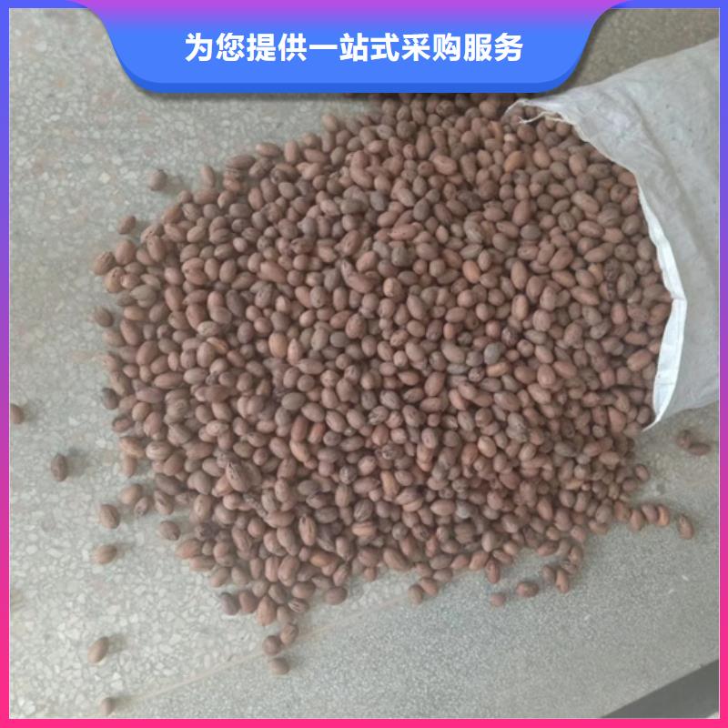 【碧根果樱桃苗质量不佳尽管来找我】实体厂家大量现货