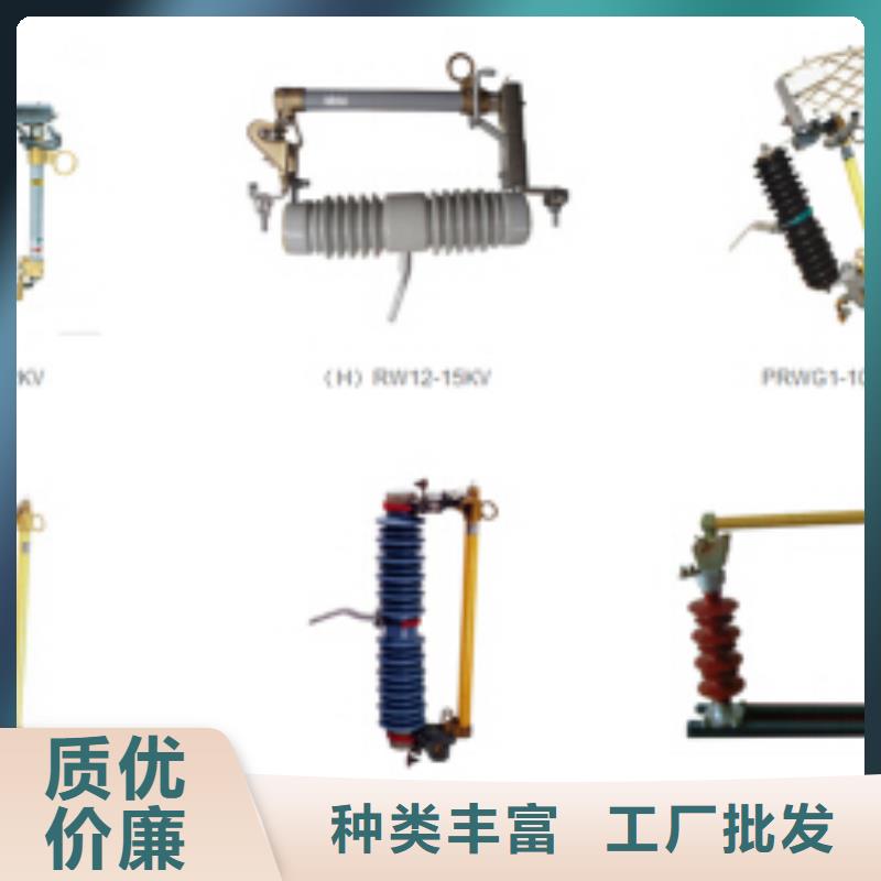 高压隔离开关绝缘子严选好货制造厂家