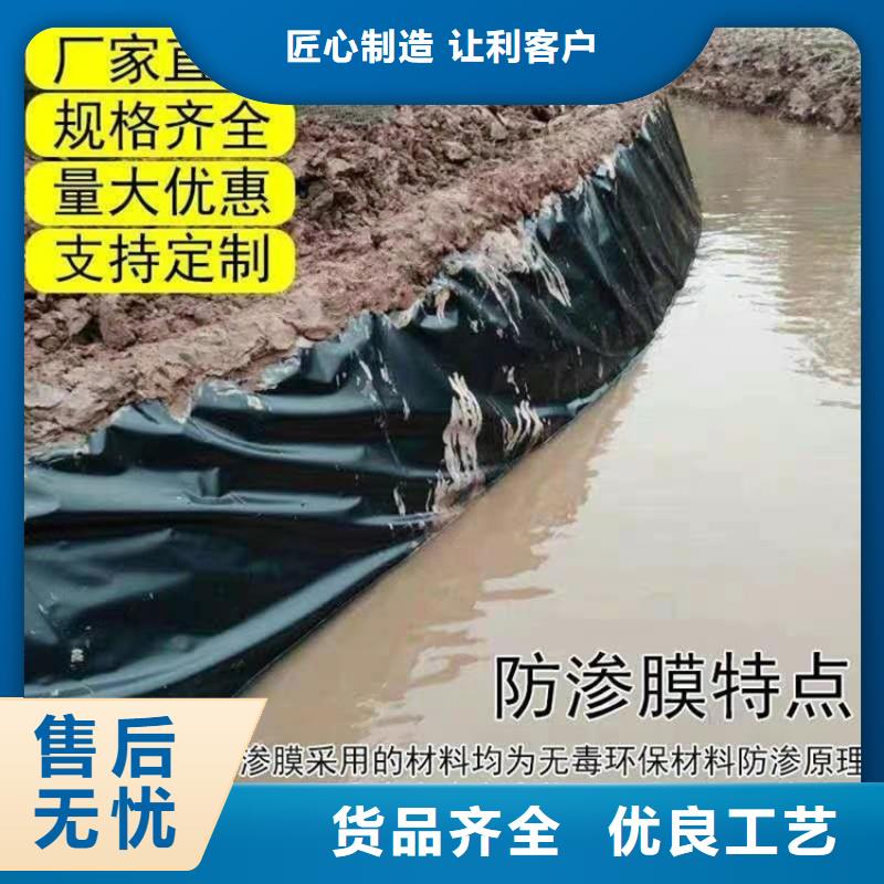 土工膜-【膨润土防水毯】专业供货品质管控当地品牌