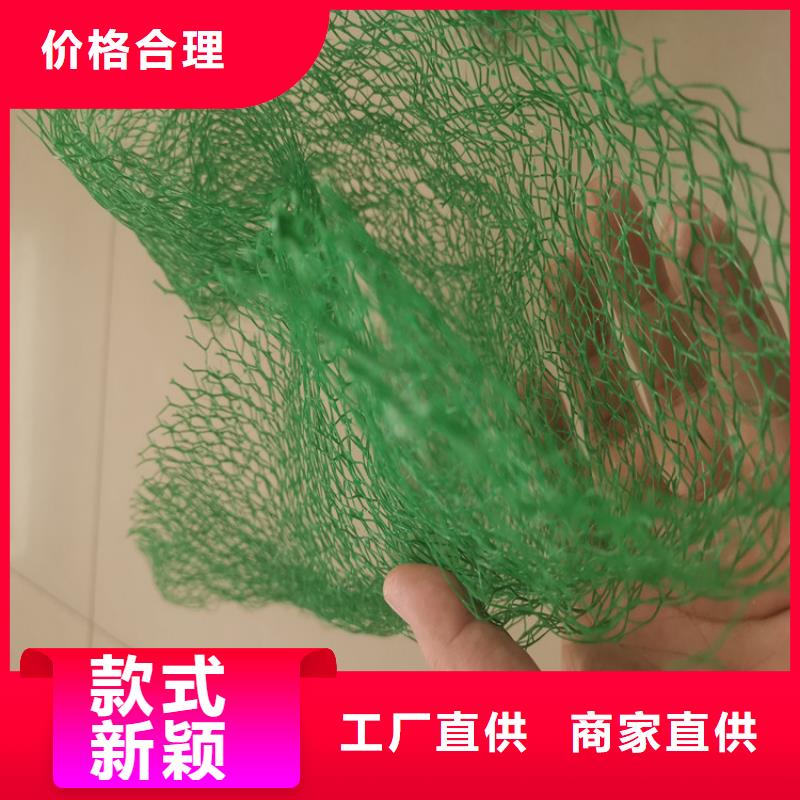 【三维植被网】【防水板】生产安装附近经销商