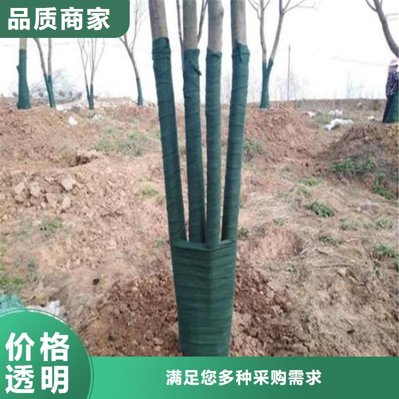 【裹树布【防渗膜】源头直供】实体厂家大量现货