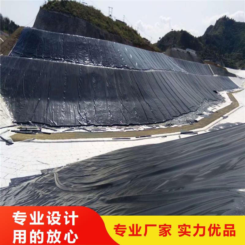 土工膜-HDPE复合排水板支持定制批发本地生产商