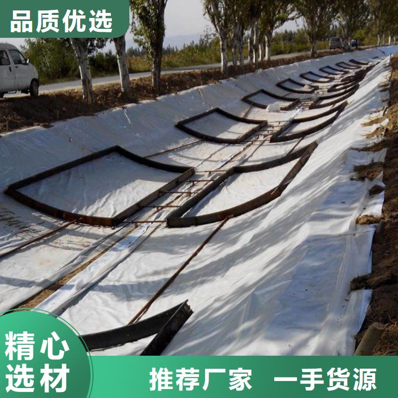 土工膜双向塑料土工格栅满足客户所需今年新款
