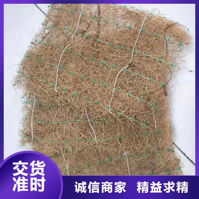 椰丝毯-塑料玻纤格栅用心制作好产品价格低