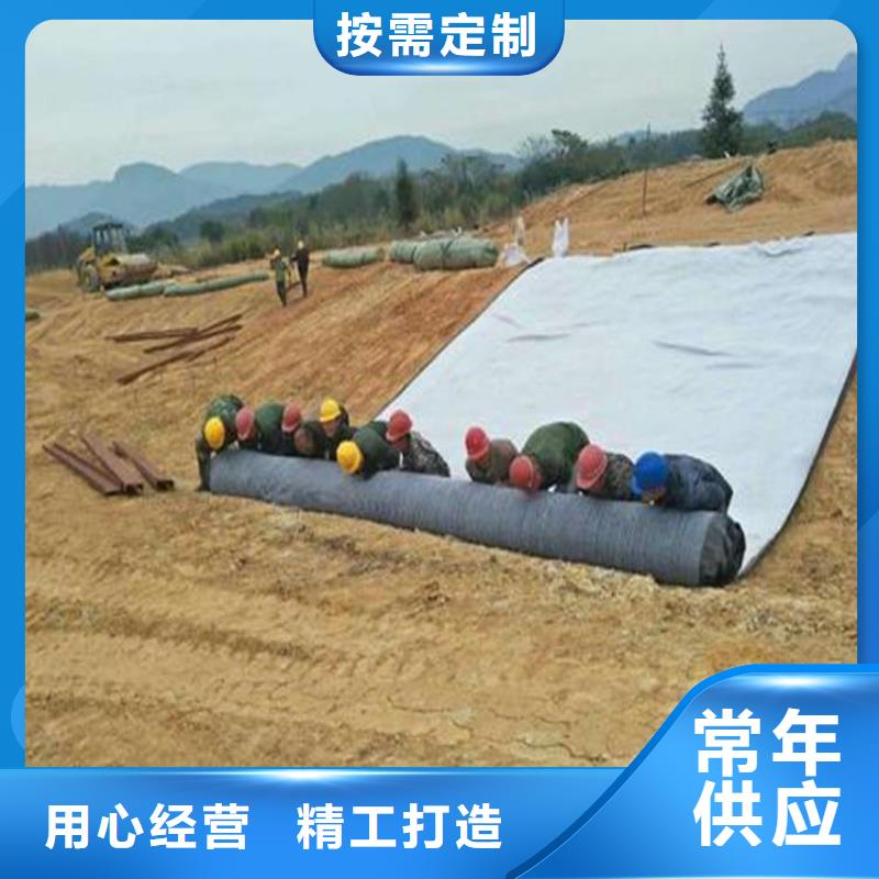 膨润土防水毯【双向塑料土工格栅】制造厂家把实惠留给您