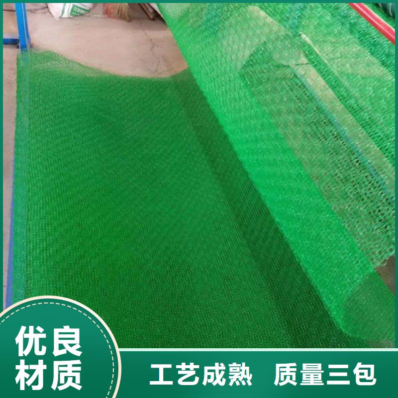 【三维植被网-【单向塑料土工格栅】厂家供应】专业生产品质保证