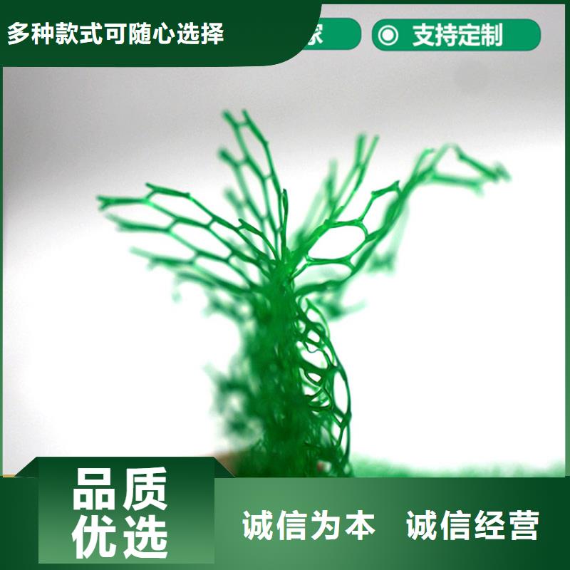 三维植被网土工格栅材质实在适用范围广