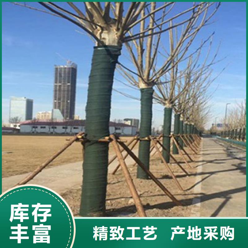 裹树布【防渗膜】当地货源多种规格供您选择