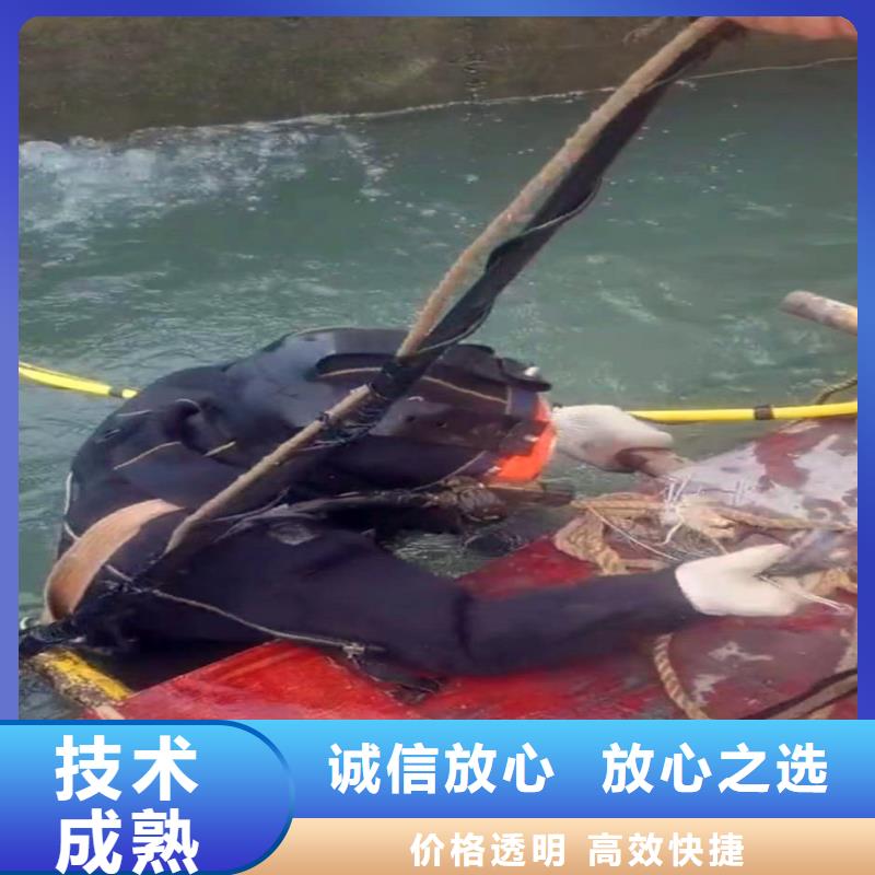 污水厂打捞泵近期行情浪淘沙水工本地生产厂家