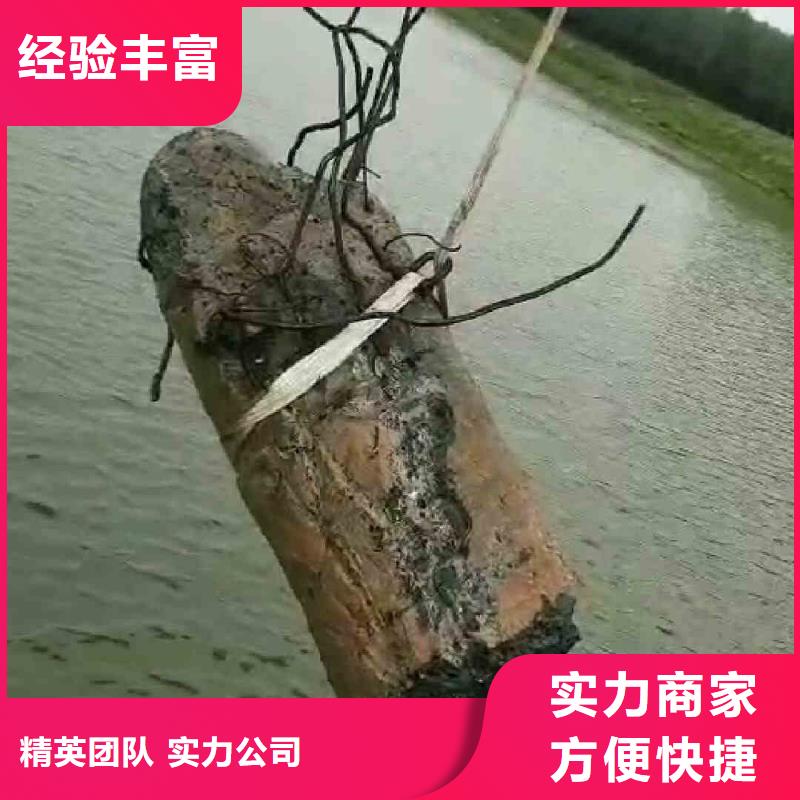 潜水员服务_【封堵工程】行业口碑好品质好