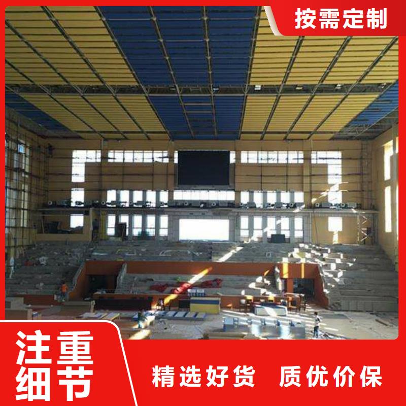 县学校体育馆声学改造公司--2024最近方案/价格精工细作品质优良