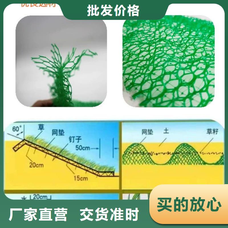 三维土工网植草本地供货商附近供应商