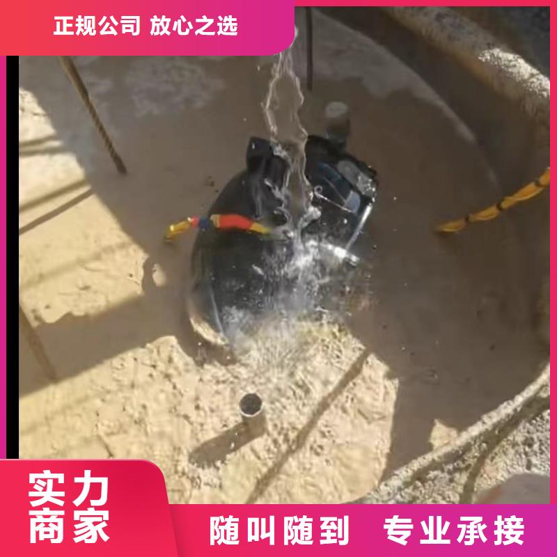 【水下安装_水下堵漏质优价廉】<当地>供应商