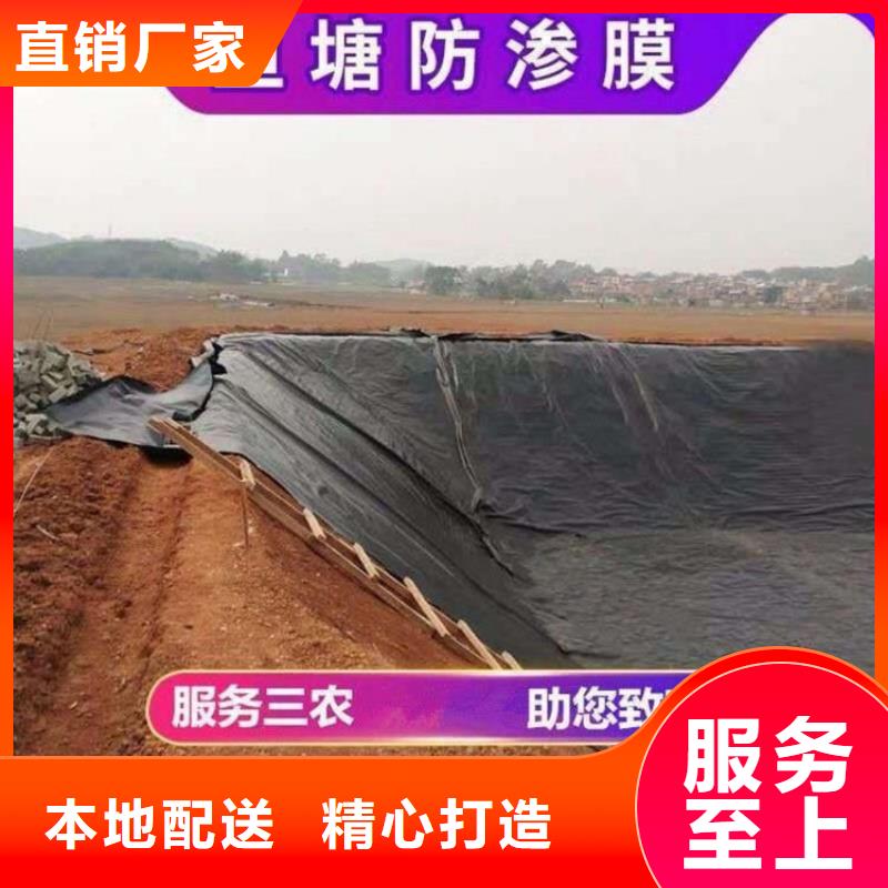 土工膜_塑料格栅精致工艺当地供应商