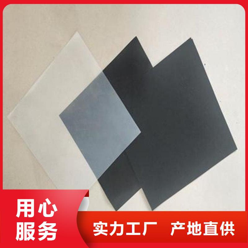 土工膜-土工网垫我们更专业一周内发货