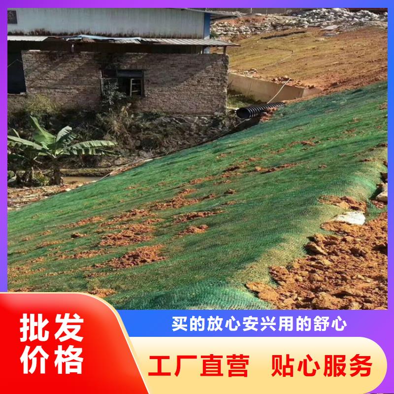 椰丝毯土工膜厂家定制本地制造商