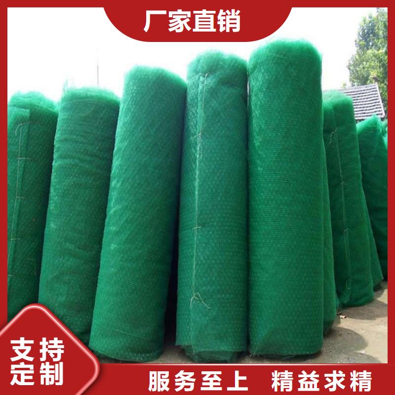 三维植被网防渗膜精心打造打造好品质
