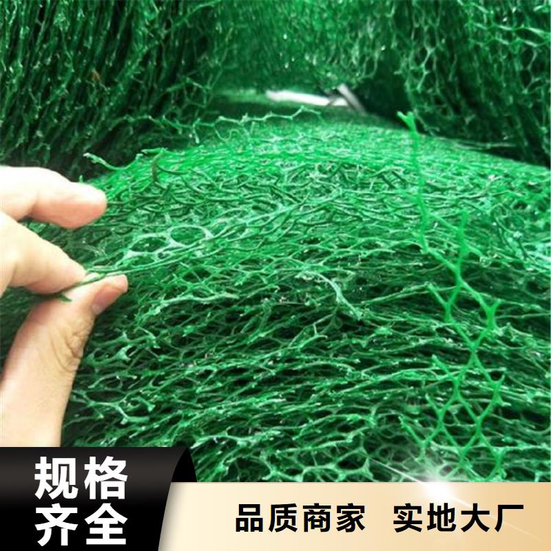 三维植被网【膨润土防水毯】一站式服务好厂家有担当