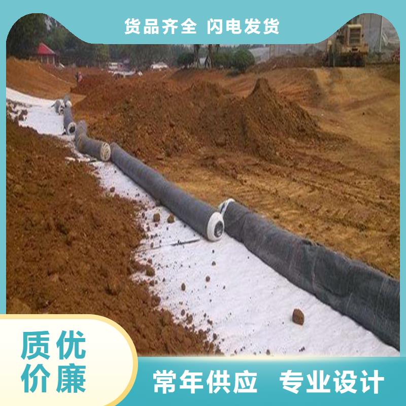 膨润土防水毯土工格栅多种场景适用当地经销商