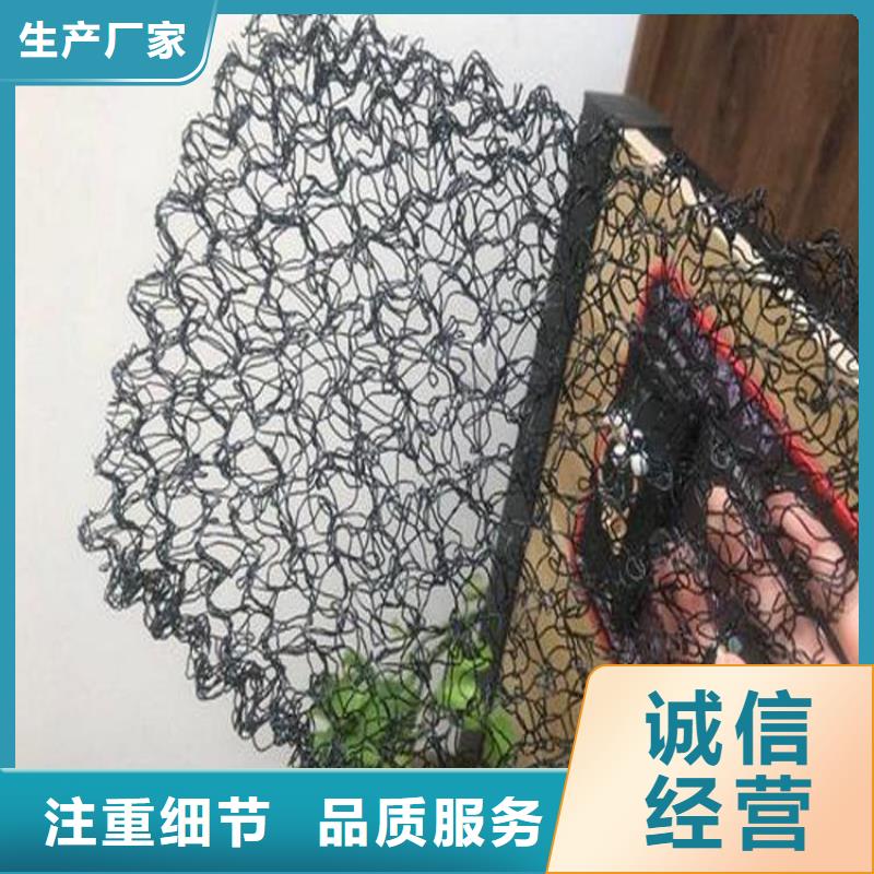 水土保护毯玻璃纤维土工格栅自有生产工厂同城服务商