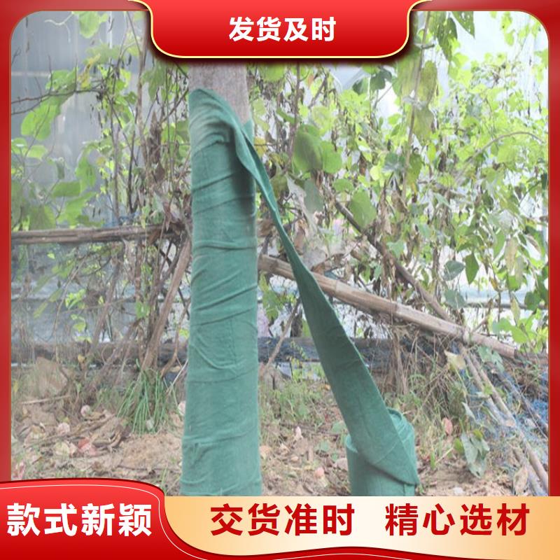 【裹树布】土工格栅厂家质量过硬附近服务商