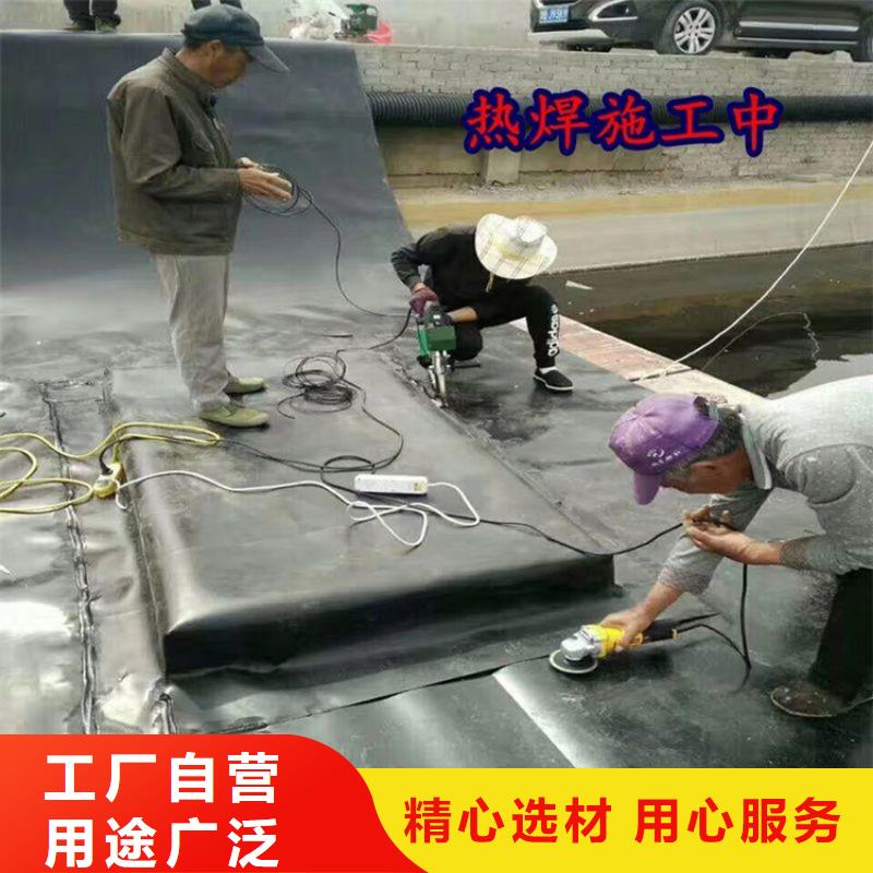 土工膜塑料格栅按需设计老品牌厂家