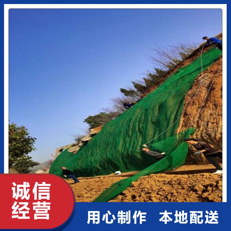 三维植被网土工格栅现货直发【当地】生产商