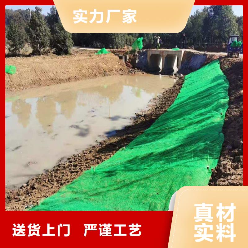 【三维植被网】_防水毯满足客户所需当地货源