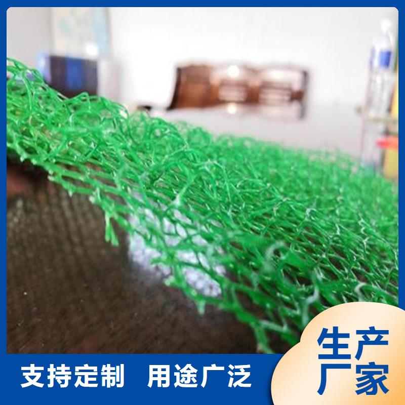 三维植被网,【土工格栅】厂家直销供货稳定当地生产商