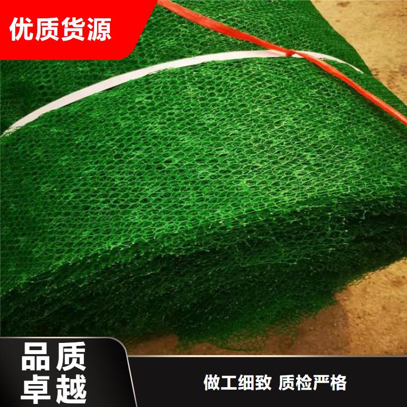 三维植被网网格布自有厂家产品实拍