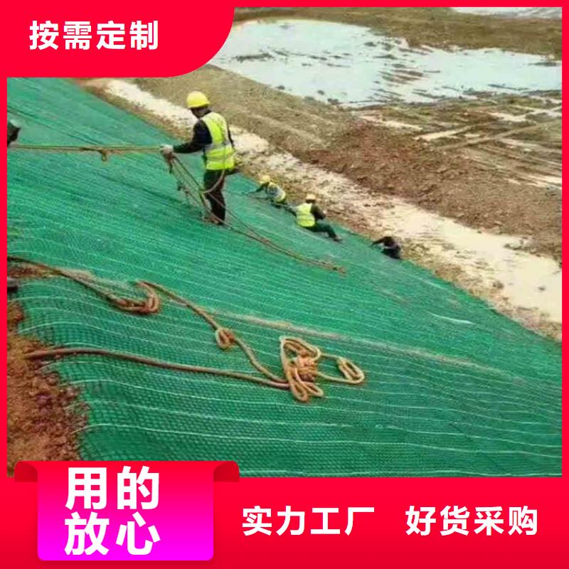 椰丝毯【生态带】符合标准价格有优势