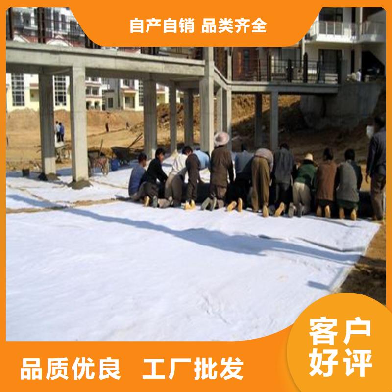 【膨润土防水毯】植草格品质保障价格合理当地生产商