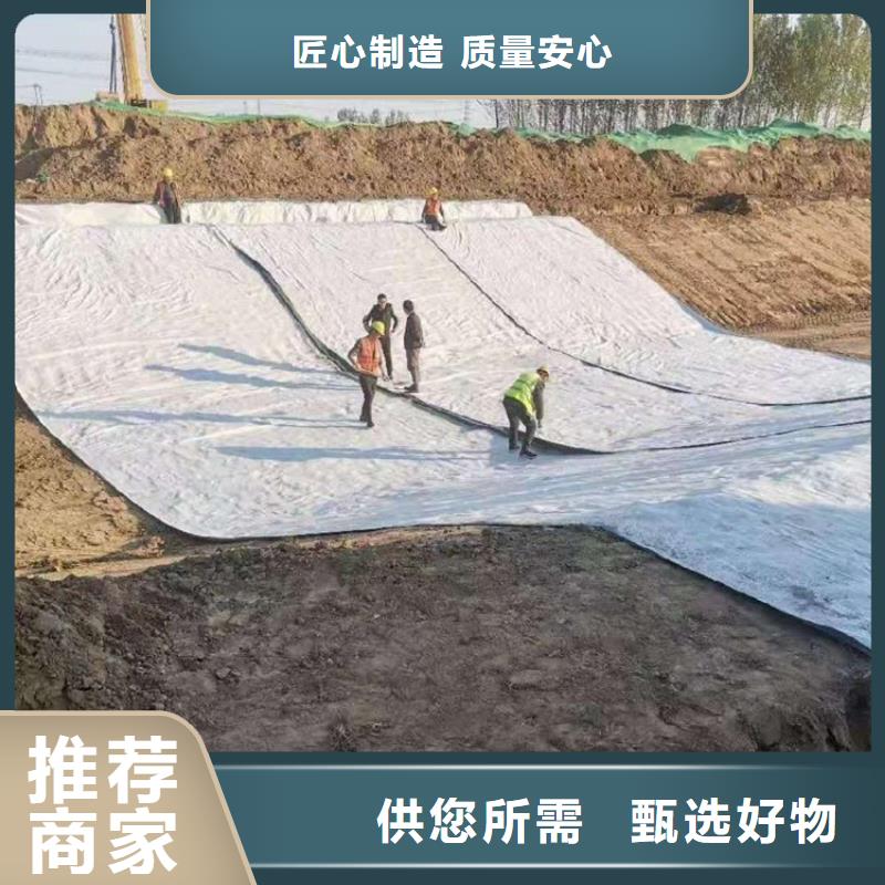 膨润土防水毯土工膜按需定做用心服务