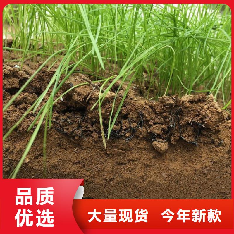 水土保护毯,双向塑料土工格栅一站式采购方便省心同城生产厂家