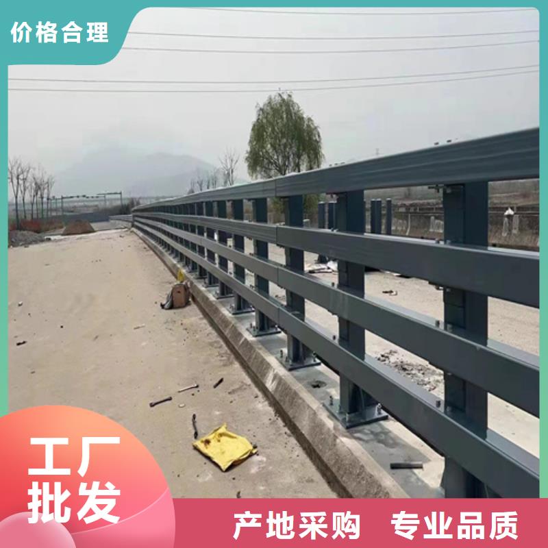 护栏_道路隔离栏专注细节使用放心专业供货品质管控