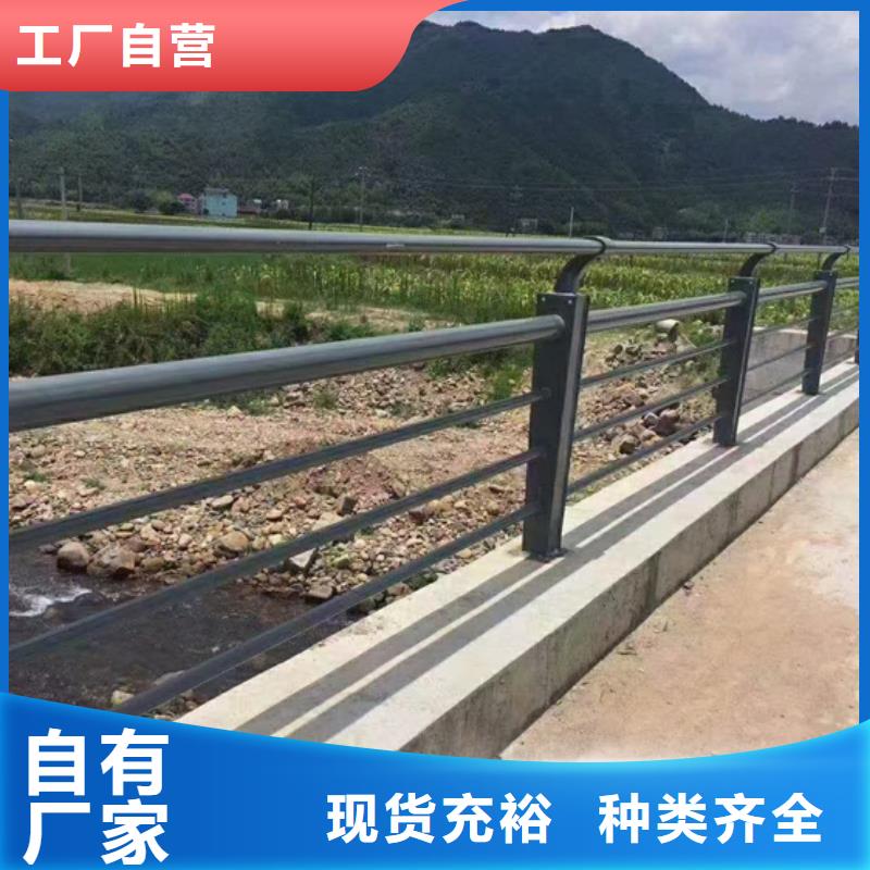 防撞护栏防护栏敢与同行比服务当地供应商