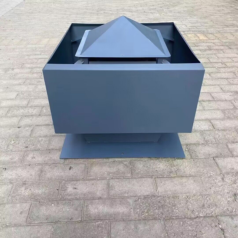 成品止回式风帽良心厂家