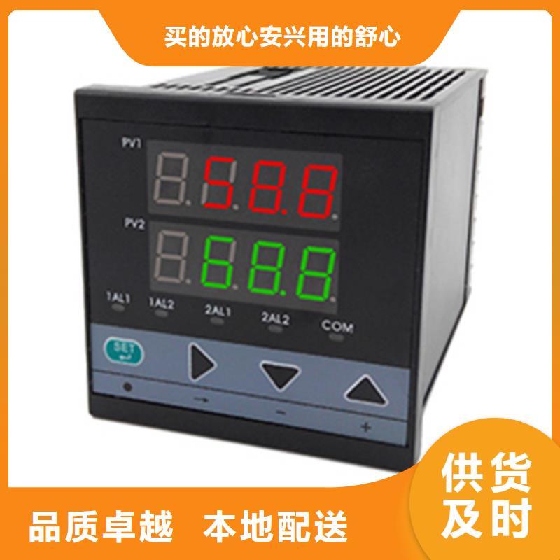 推荐：SWP-ASR110-1-1/J1生产厂家源头直供