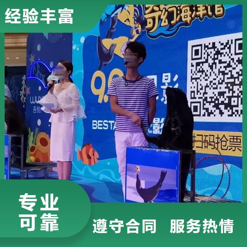 海洋主题动物表演鹦鹉表演专业团队品质好