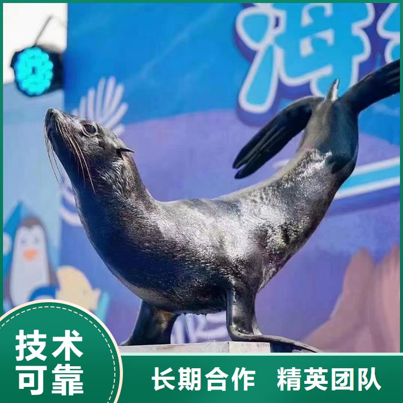 海洋主题动物表演-动物展览秀拒绝虚高价品质保证