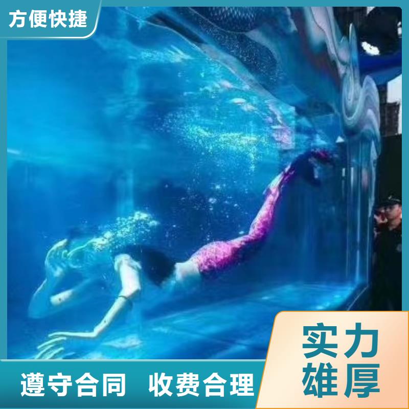 海洋主题动物表演【海洋展租赁】从业经验丰富本地货源