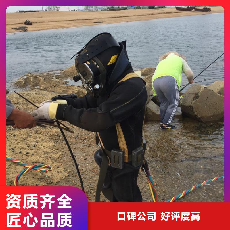 水下安装更换拦污栅-咨询沟通方案当地经销商