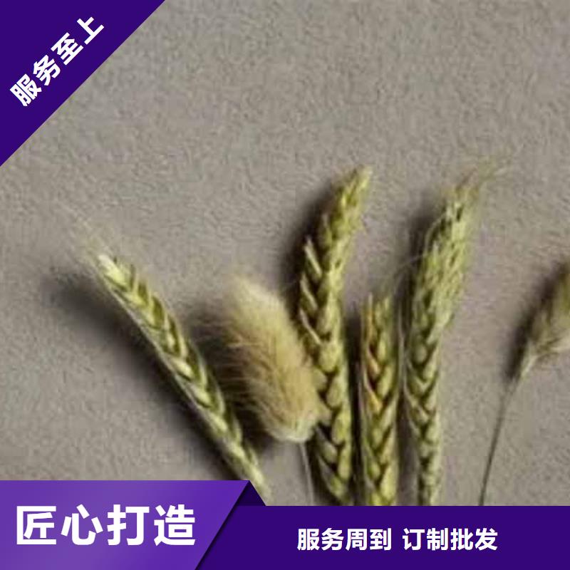 雅晶石【微水泥涂料】用心制作让客户买的放心