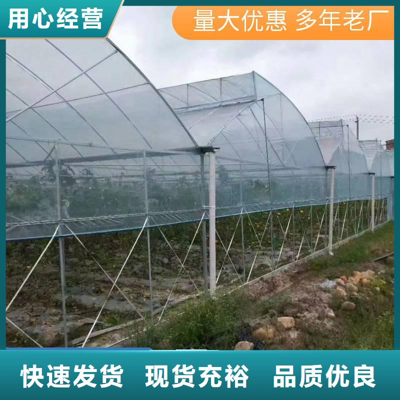 玻璃温室大棚造价实力厂家当地经销商