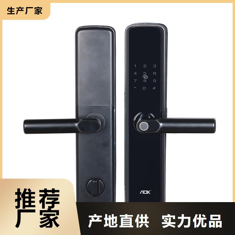 智能锁人脸识别智能锁供应加工定制当地公司