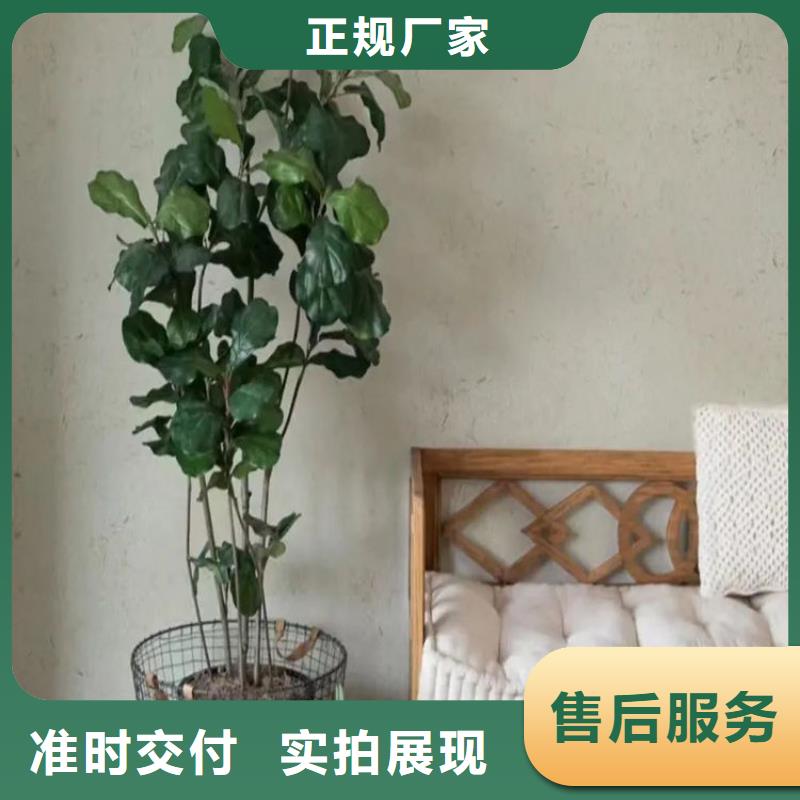 景区稻草漆批发价格好产品好服务